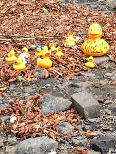 Bemalte Enten am Rotbachufer